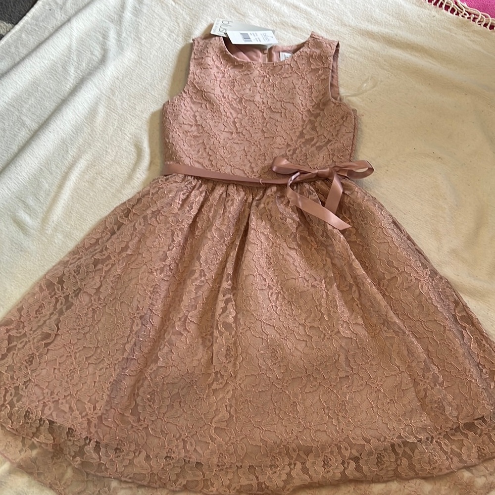 Blush lace dress